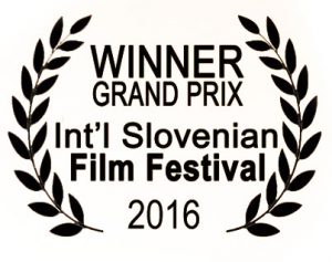 Award Slovenian Film Festival